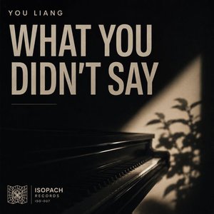 Cover: You Lian - What You Didn´t Say [Extended Mix]